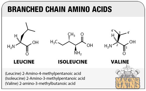 BCAA Amino Acid Chemical Structure