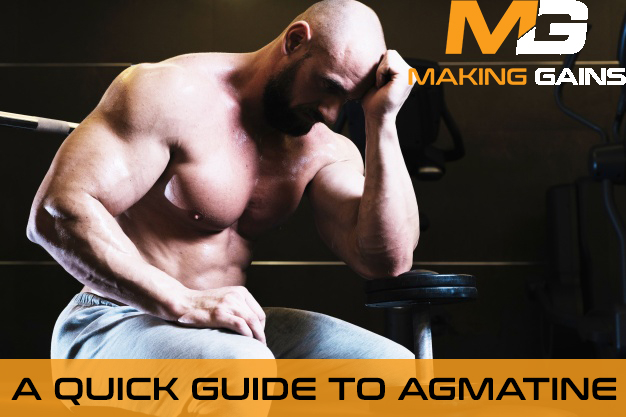 A Quick Guide to Agmatine